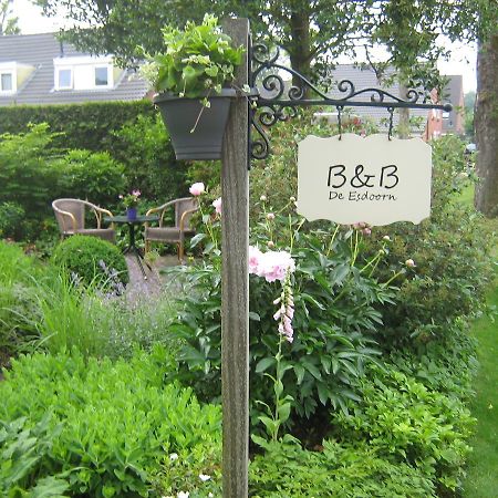 B&B De Esdoorn Norg Exterior foto