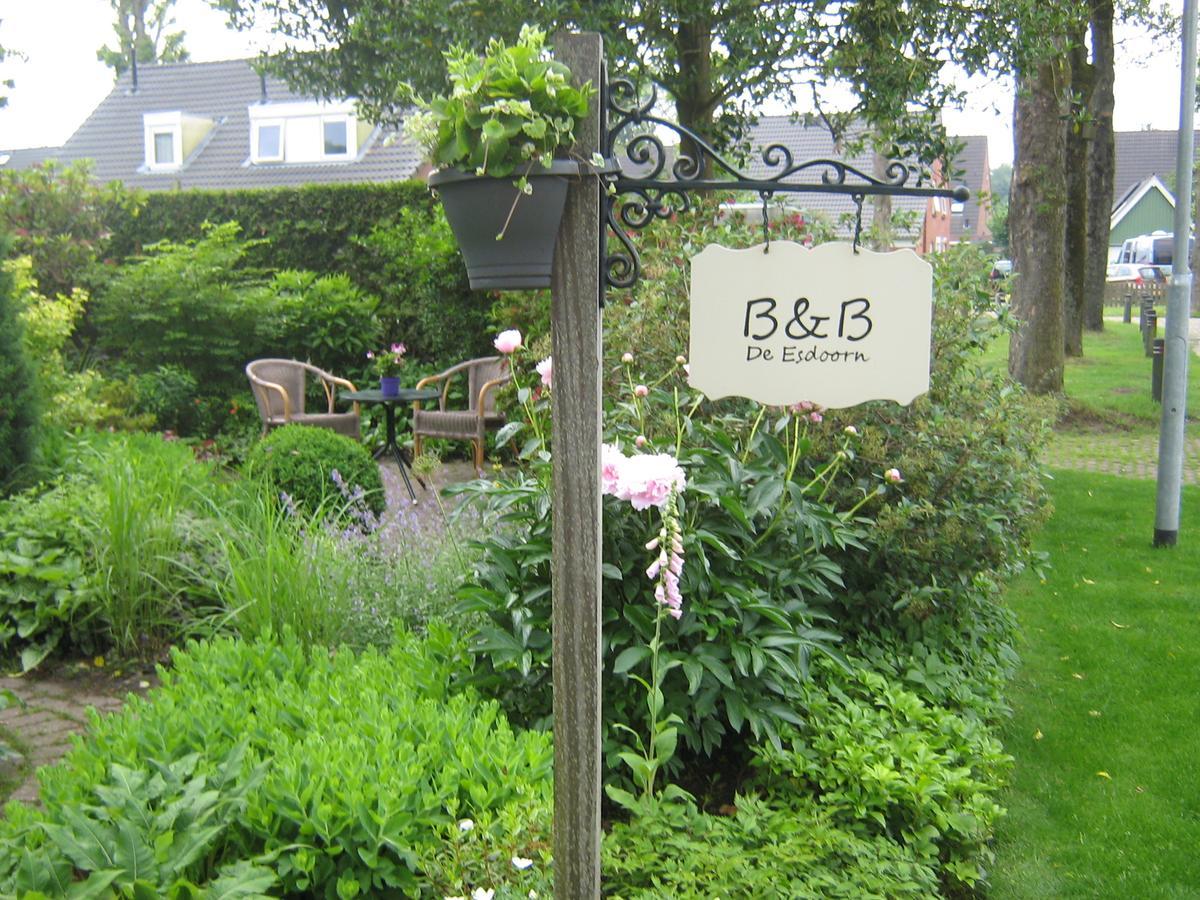 B&B De Esdoorn Norg Exterior foto